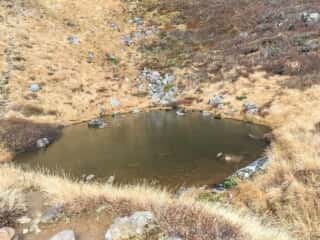 岩木山登山道沿いの池
