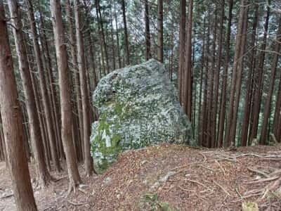 土佐矢筈山・小桧曽山