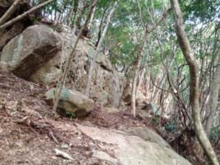 ビシャゴ磯 裏山の巨石群
