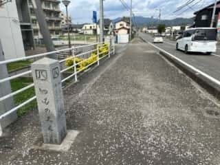 四国八十八ヶ所霊場 第53番札所 円明寺〜伊予和気駅