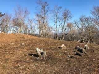 石投山 黒森山 登山道