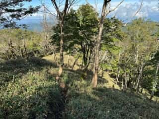 矢筈山・石堂山