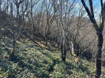 寒峰・烏帽子山