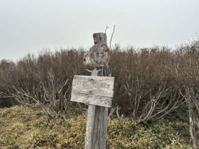 土佐矢筈山・小桧曽山