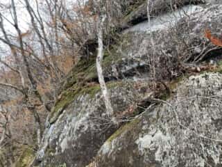 石上登山道