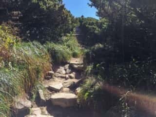 大山登山道