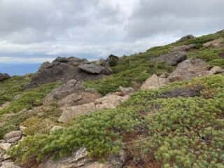 早池峰山 登山道