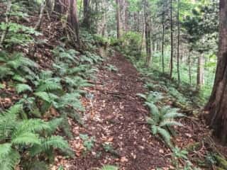恐山 (大尽山) 登山道