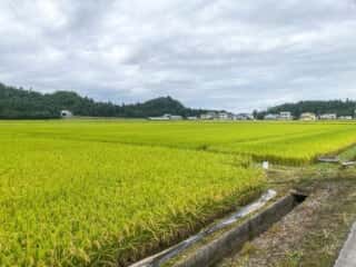 一年峰　入口の田園風景