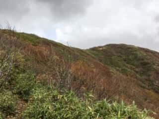 白神岳登山道からの景色