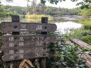 知床五湖 地上遊歩道