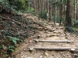 筑波山登山道