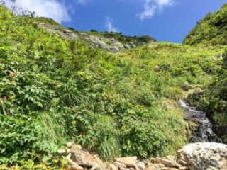 砂防新道 登山道