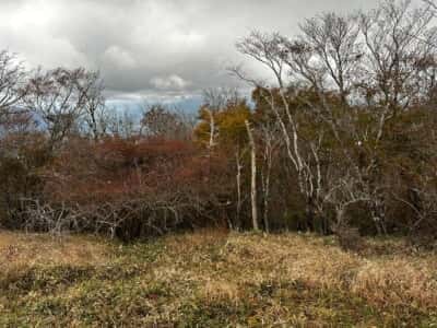 土佐矢筈山・小桧曽山