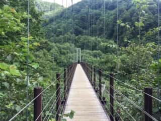 砂防新道 登山道