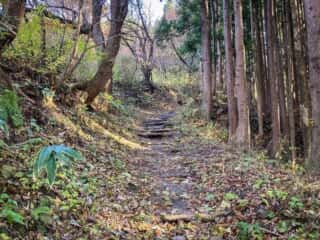 続石への山道