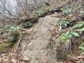石上登山道
