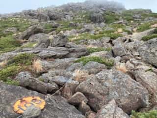 早池峰山 登山道