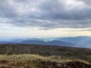 五葉山　山頂から太平洋を望む