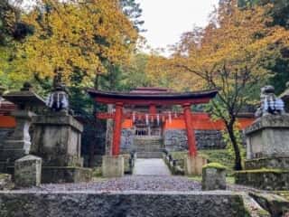 丹内山神社　参道