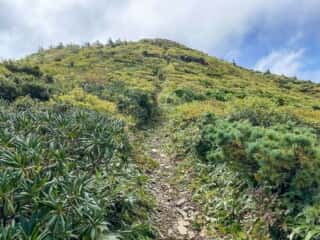 屏風岳・刈田岳 登山道
