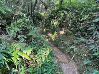 気延山