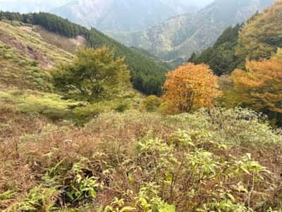 石立山