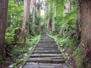 出羽三山神社 一の坂参道