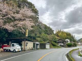 宇和島駅〜四国八十八ヶ所霊場 第41番札所 龍光寺