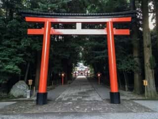 霧島神宮　三の鳥居
