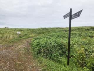 桃岩展望台コース