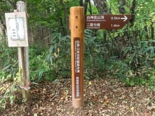 白神岳登山道