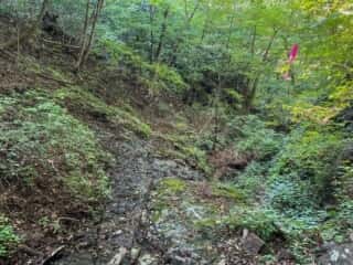 妙義山 登山道