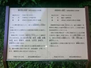 朝日山古墳群の説明