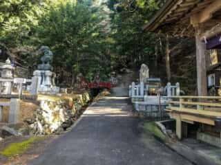 黄金山神社　登山道入口