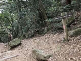 筑波山登山道