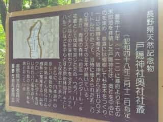 戸隠神社奥社社業