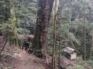 大師堂・岩屋寺
