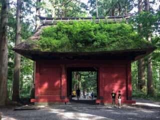 戸隠神社奥社　随神門