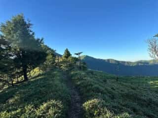 丸笹山