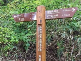 白神岳