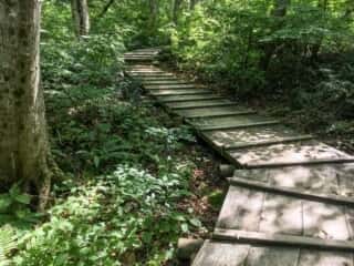 大山登山道