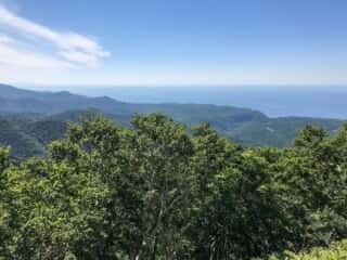 羅臼岳登山道からの展望