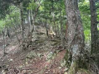赤帽子山・中尾山