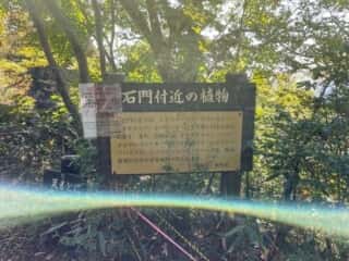 妙義山