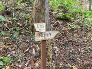 石上登山道