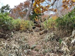 赤神神社奥宮への道