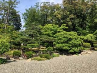橿原神宮　文化殿庭園