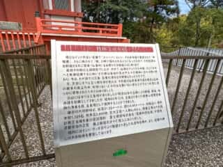 四国八十八ヶ所霊場 第31番札所 竹林寺