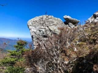 剣山の鶴石